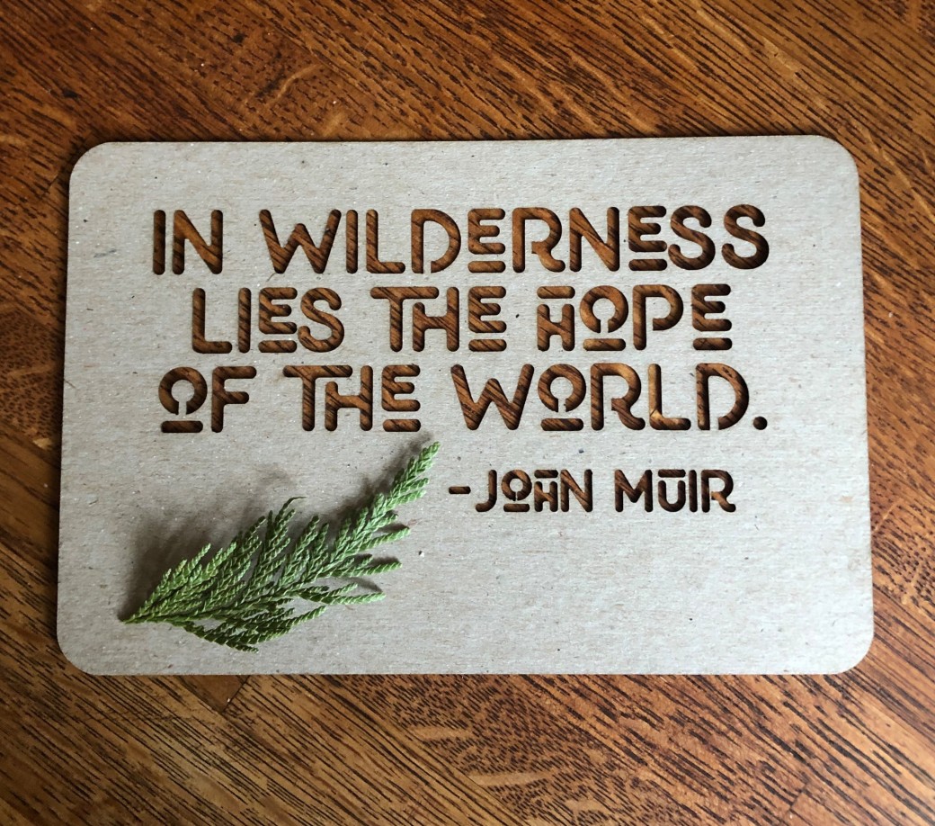 John Muir Quote
