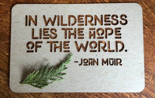 John Muir Quote